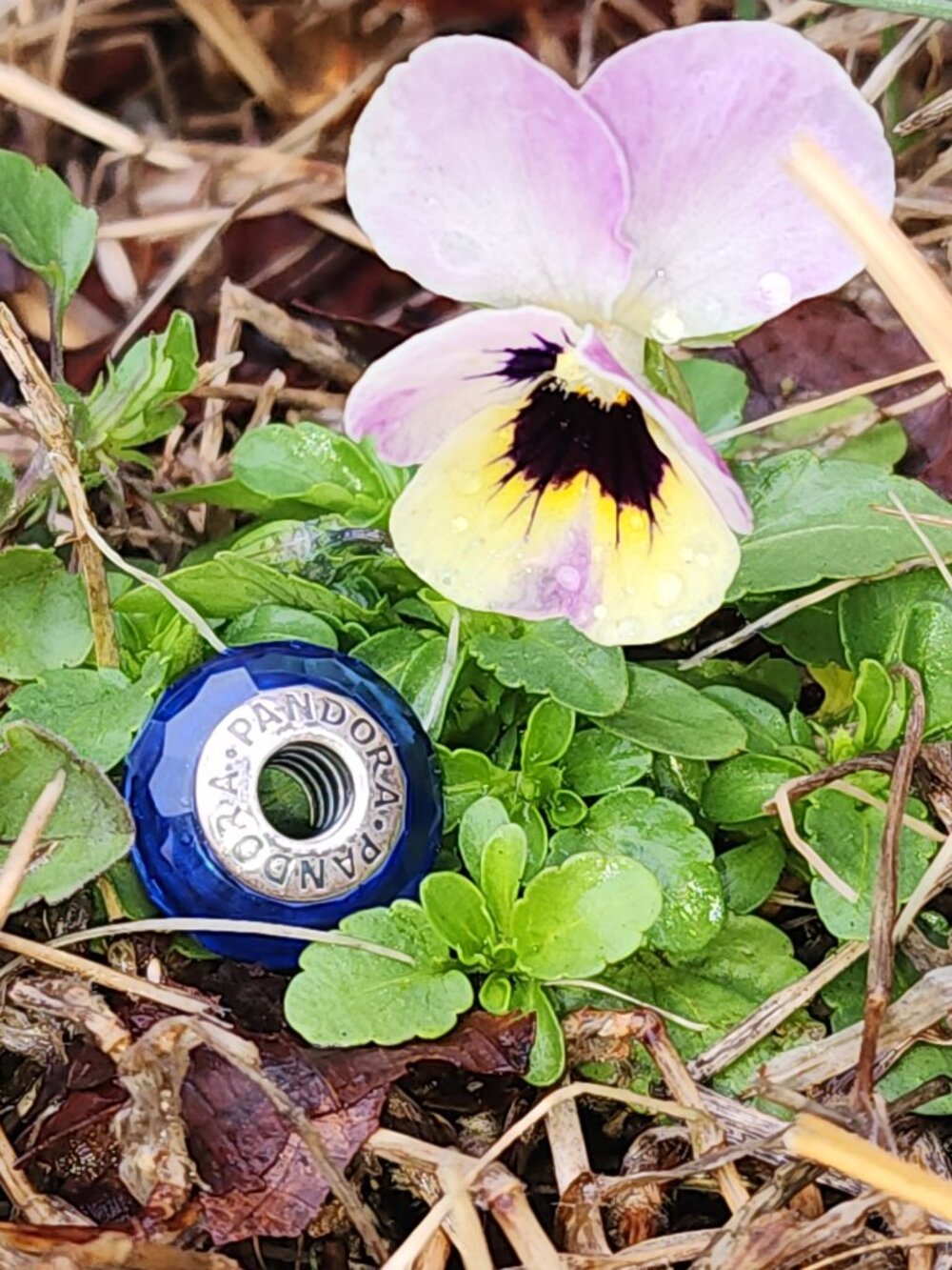 Retired Sterling Silver Blue Fascinating Faceted Murano Glass Bead